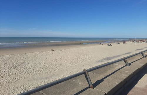 Villa 100 m du Touquet entre forêt et mer - Foto 2