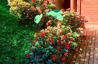 Chalé nas Árvores - Foto 37