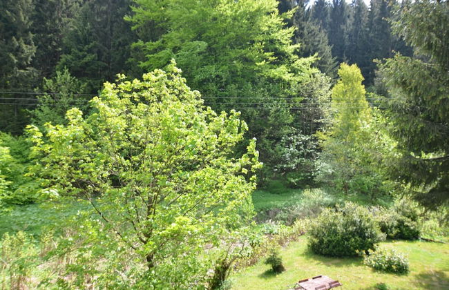 Rustic Black Forest Getaway - Foto 42