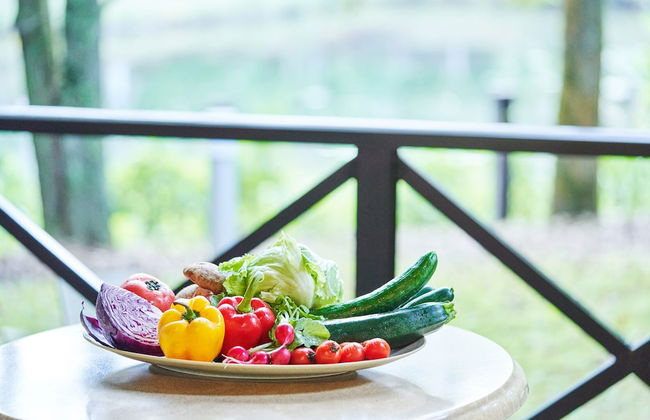 Tokyu Vacations Karuizawa - Foto 9