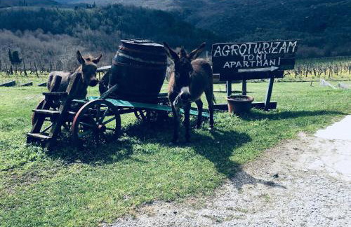 Agroturizam Toni - Foto 1