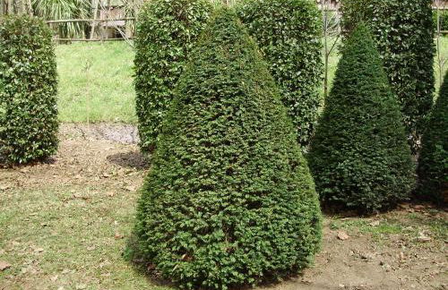 Tenuta Montelaura - Foto 49