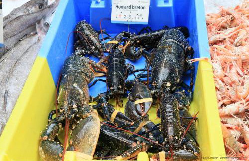 Appartement cosy proche du centre-ville d'Auray - Foto 30