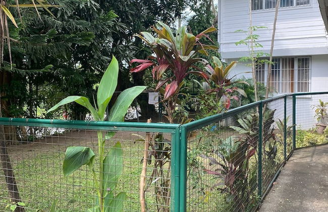 House w 3 Bedrooms And 3 Baths - Free Parking - Photo 35