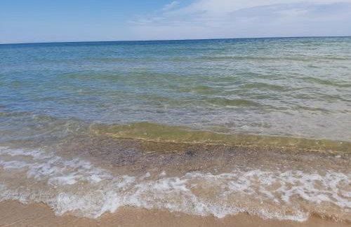 AB Musiol - Photo 24