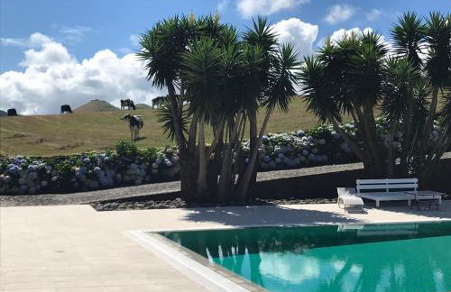 Quinta das Flores - Photo 8