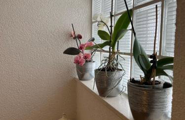 Kuća za odmor Antonini - Foto 23