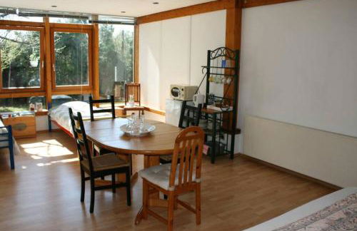 Gemütliches großzügiges Apartment - Foto 11