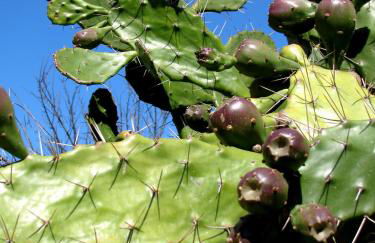 Pozzo al Moro Village - Foto 16