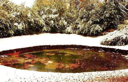 Hayes Suite - Foto 39