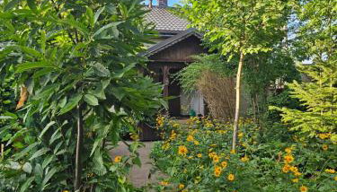 Ranczo Przyłęk - Foto 3, Garden, Garden view