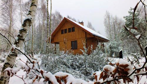 Sumówko Leśne Siedlisko - Foto 3