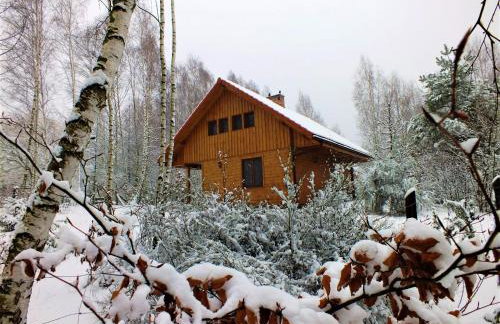 Sumówko Leśne Siedlisko - Foto 3