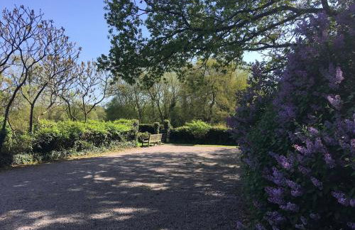 Idyllic Country Cottage South Downs - Photo 6