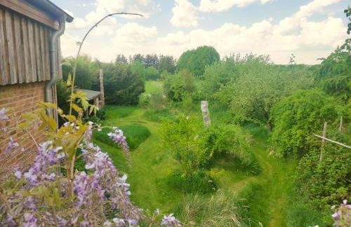 Dreigärten Brodowin - Foto 37