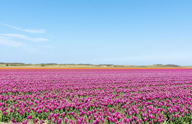 Stunning Holiday Home With Terrace - Foto 19