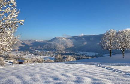 Haus Gneuss - Foto 28