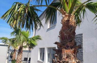 Villa Maris Nin - Foto 36