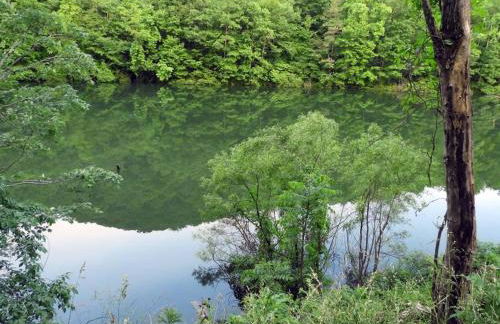 Nantahala Spiritual Retreat - Remote and Peaceful! - Foto 48