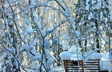 Secluded Waterfront Cabin Rental on Lake Superior near Red Cliff, Wisconsin - Foto 20