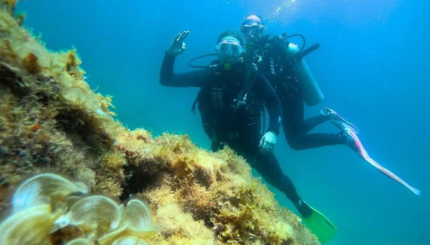 Paraty Bay Scuba Diving - Foto 4