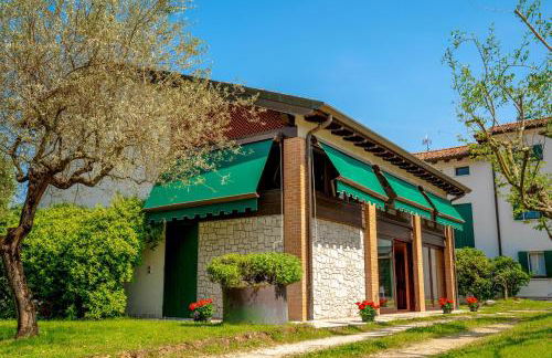 GATTO IN VIGNA - Foto 8