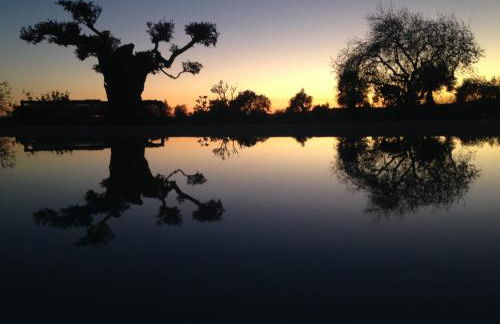 Espargosa Monte de Baixo & Art - Foto 41