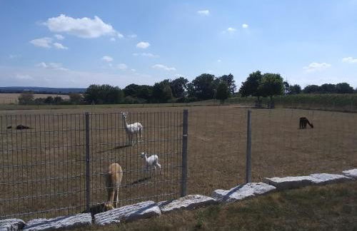 Auszeit-Räumlichkeiten - Foto 17