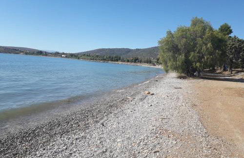 Elea Guesthouse - Photo 20