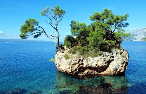 Villa Astra & Pinija - Foto 2