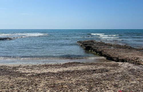 Sensación de Vivir - Photo 15