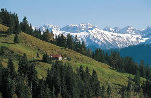 Ferienwohnungen Alpentraum - Hirschsprung - Foto 17