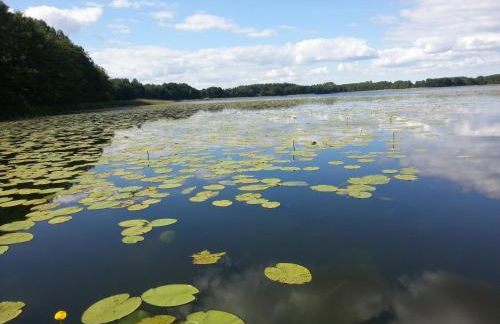 Ferienwohnung Seebusch - Foto 1