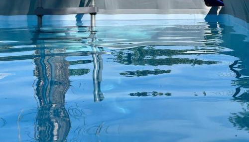 THE DORMOUSE - Il Ghiro - Foto 2