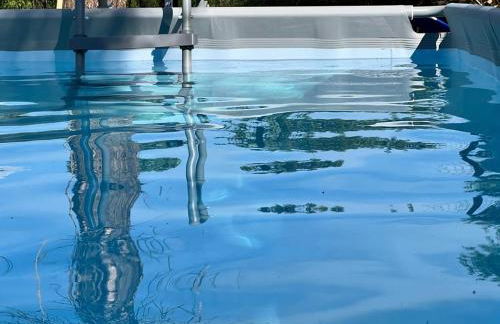 THE DORMOUSE - Il Ghiro - Foto 2