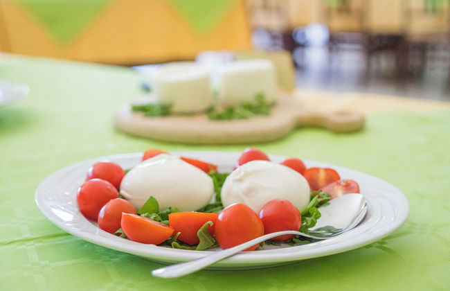 AGRITURISMO SCALELLE - Foto 71