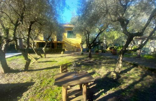 Casetta nel Bosco - Foto 37