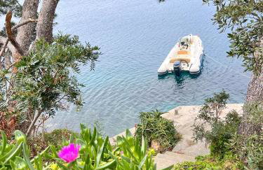 Terrace studios with panoramic seaview - Foto 9