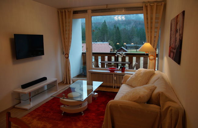 W & S Executive Apartments - Obertraun - Foto 35