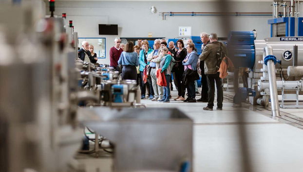 Bailén Oil Mill Tour + Tasting - Foto 5