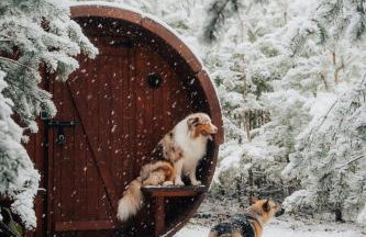 Charszówka - Foto 22