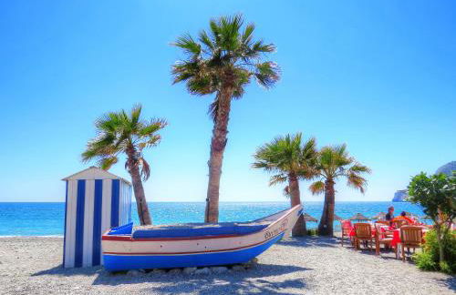 Rosa Nautica 3 - Photo 25