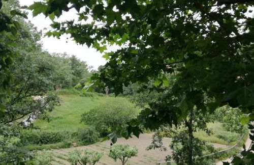 Aparthotel Quinta do Crestelo - Foto 66