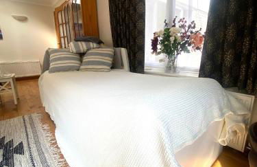 Little Dragons - Photo 10