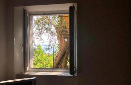 Un angolo di paradiso - Foto 5