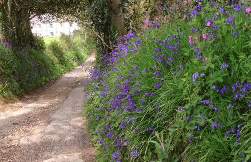 The Home Barn at Cornish Barn Holidays - Foto 3