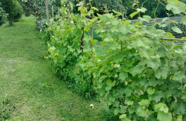 Casa relax immersa nel verde della natura - Foto 14