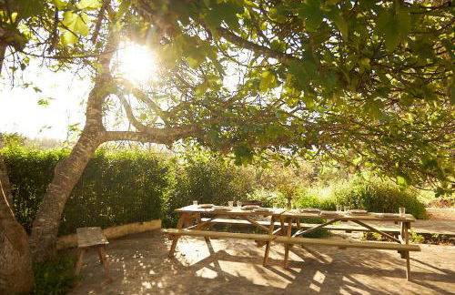 Quinta do Marmeleiro - Casa Marmeleiro - Foto 56