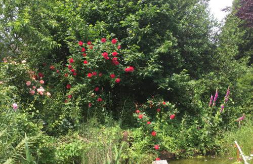 Ferienhaus La Meu - Foto 1