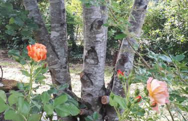 L’escale côté jardin - Foto 15